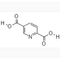 CAS 100-26-5 2 5-Pyridinedicarboxylic Acid ICA Isochincomerionicacid 99.5%